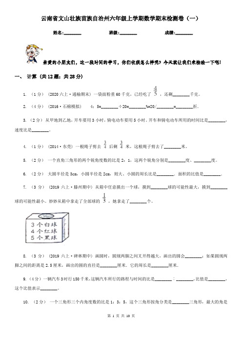 云南省文山壮族苗族自治州六年级上学期数学期末检测卷(一)