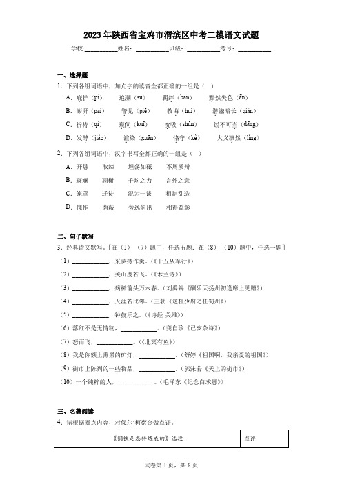 2023年陕西省宝鸡市渭滨区中考二模语文试题(含答案)