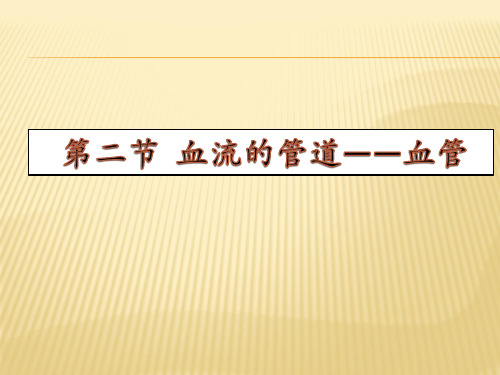 人教版七年级下 4.4.2 血流的管道——血管 PPT(27张)优质课件