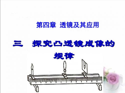 苏科版八年级物理上册 4.3 凸透镜成像规律 课件