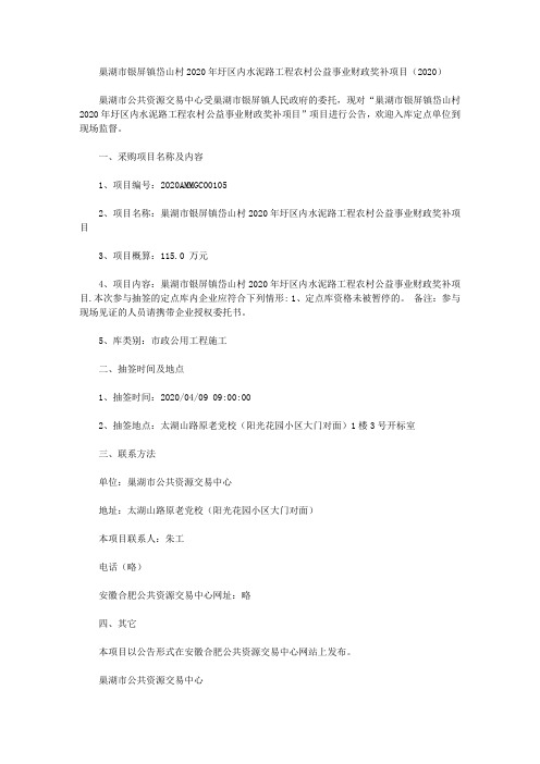 巢湖市银屏镇岱山村2020年圩区内水泥路工程农村公益事业财政奖补项目(2020)