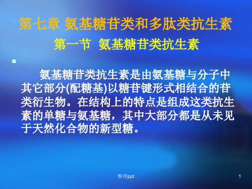 生物制药第七章氨基酸糖苷类抗生素