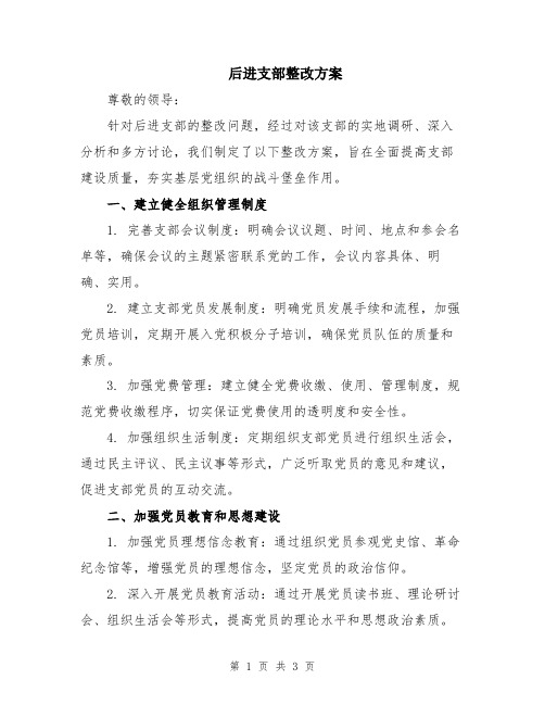 后进支部整改方案