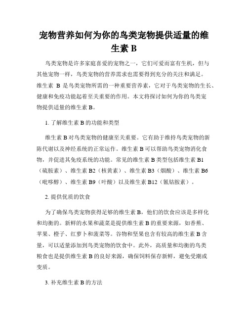 宠物营养如何为你的鸟类宠物提供适量的维生素B