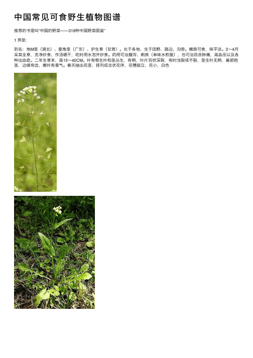 中国常见可食野生植物图谱