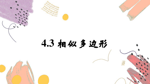 4.3 相似多边形  课件 (共19张PPT) 数学北师版九年级上册