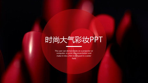 口红分析报告PPT