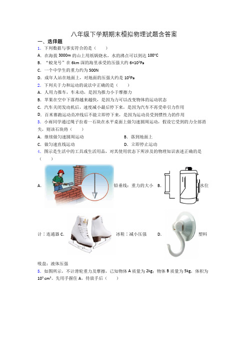 八年级下学期期末模拟物理试题含答案