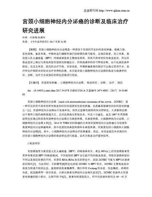 宫颈小细胞神经内分泌癌的诊断及临床治疗研究进展