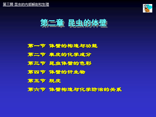 第二章_昆虫的体壁