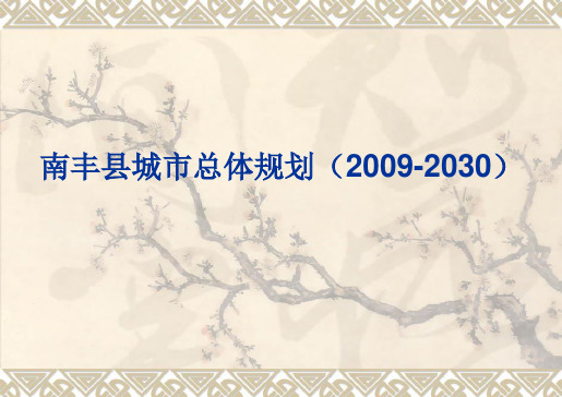 南丰总规成果汇报人大主任会