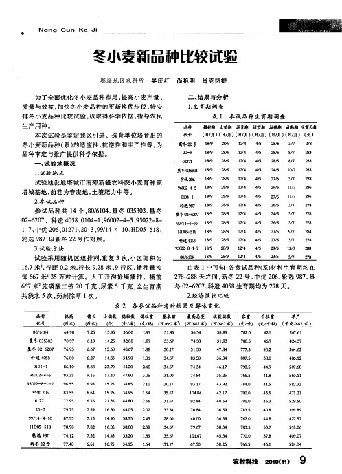 冬小麦新品种比较试验