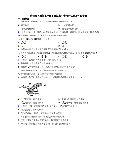 沧州市人教版七年级下册期末生物期末试卷及答案全册