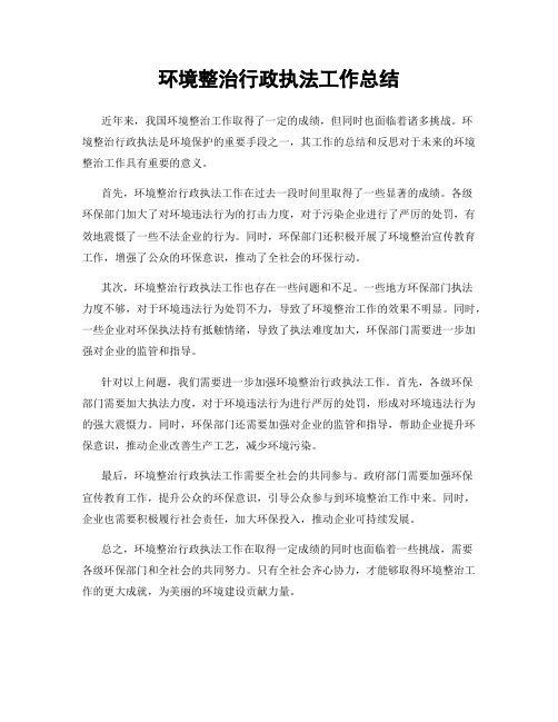 环境整治行政执法工作总结