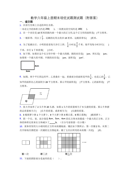 数学六年级上册期末培优试题测试题(附答案)