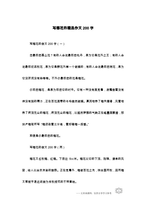 写梅花的精选作文200字