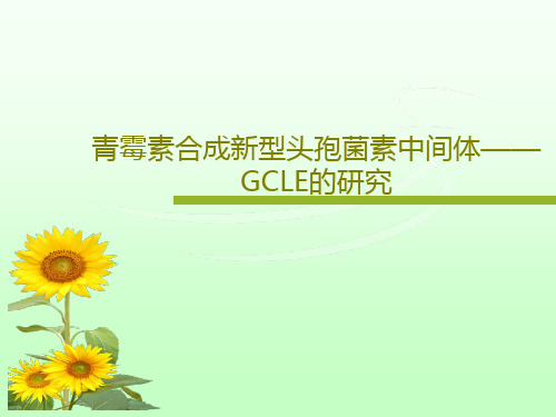 青霉素合成新型头孢菌素中间体——GCLE的研究共21页文档