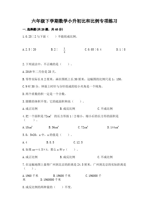 六年级下学期数学小升初比和比例专项练习(易错题)(夺冠系列)