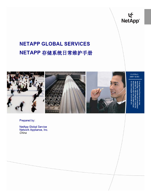 NETAPP NETAP磁阵日常维护手册