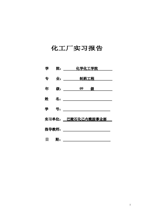 己内酰胺化工厂实习报告