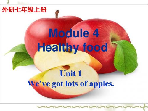 外研版七年级上Module4 Unit1课件(共31张PPT)