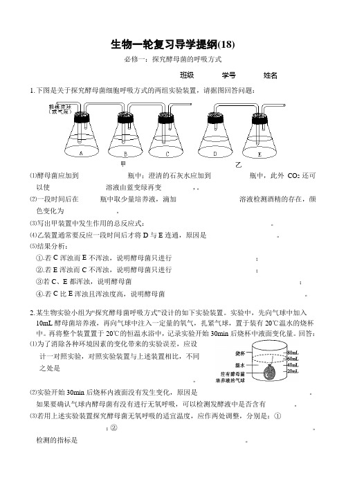 探究酵母菌的呼吸方式