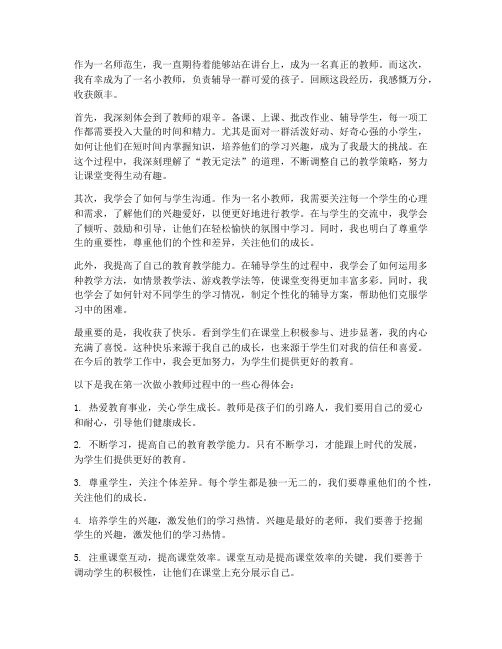 第一次做小教师心得体会