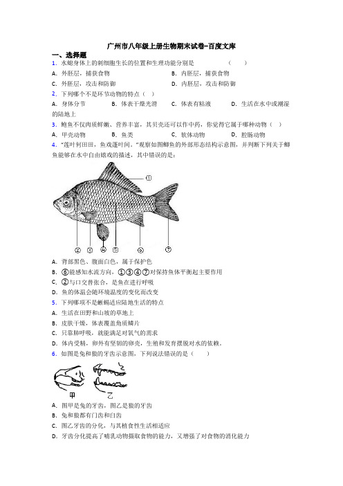 广州市八年级上册生物期末试卷-百度文库