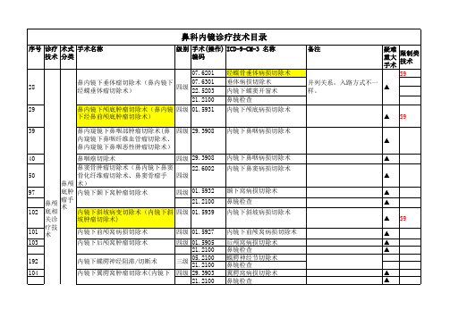 鼻科内镜诊疗技术目录(2021版)