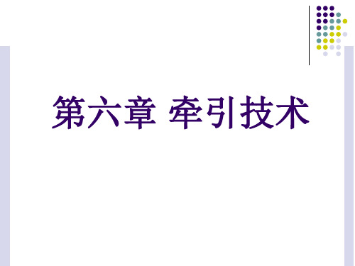 《运动治疗技术》第六章 牵引技术(概述)