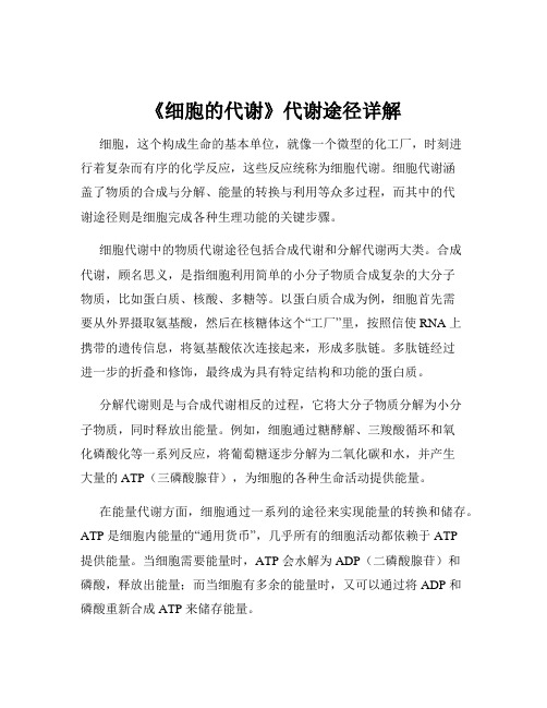 《细胞的代谢》代谢途径详解