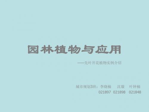 同济大学建筑与城市规划学院景观考研资料园林植物与应用——先叶开花植物实例介绍