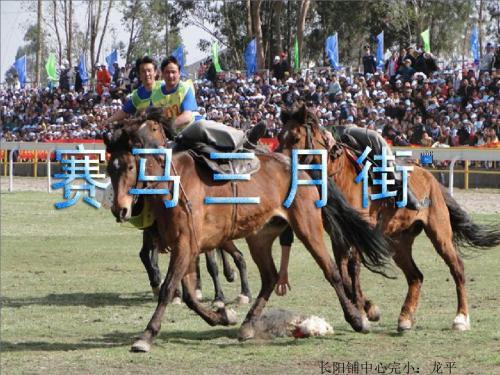 赛马三月街(龙平)