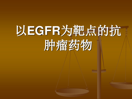 以EGFR为靶点的抗肿瘤药物PPT演示课件