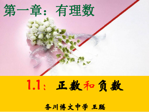 有理数1.1_正数与负数(王冲2015)