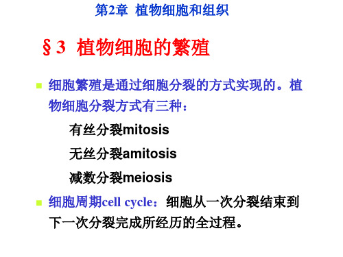 《植物学教学资料》第2章细胞与组织2马炜梁版