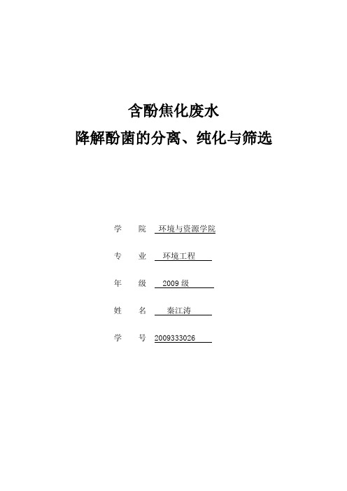 含酚焦化废水降解酚菌的分离、纯化与筛选实验报告