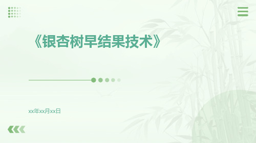 银杏树早结果技术