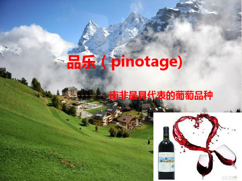 Pinotage皮诺塔吉(品乐)