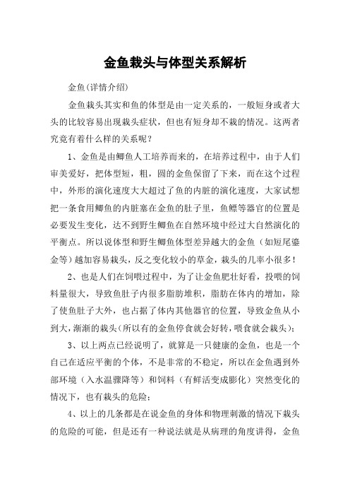 金鱼栽头与体型关系解析