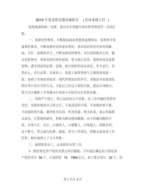 2019年度述职述德述廉报告(发改委副主任)