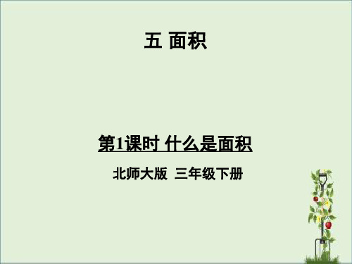 北师大版三年级数学下册第五单元教学课件