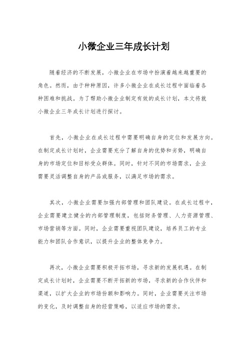 小微企业三年成长计划