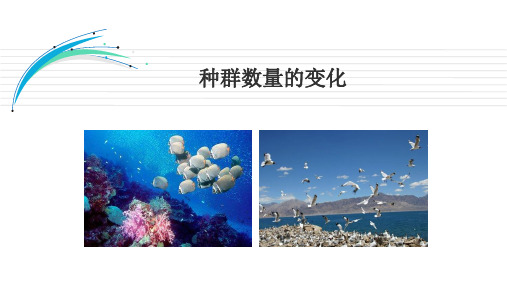 高中生物必修3优质课件24：4.2 种群数量的变化