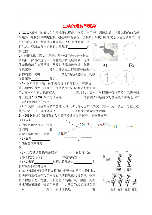 山东省15地市2015年中考生物大题狂做六遗传与进化试题精选(部分答案是扫描版)