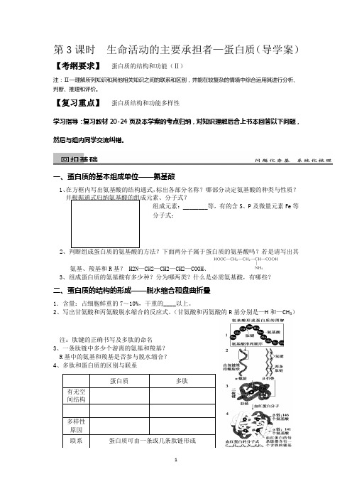 自改一轮复习导学案-蛋白质