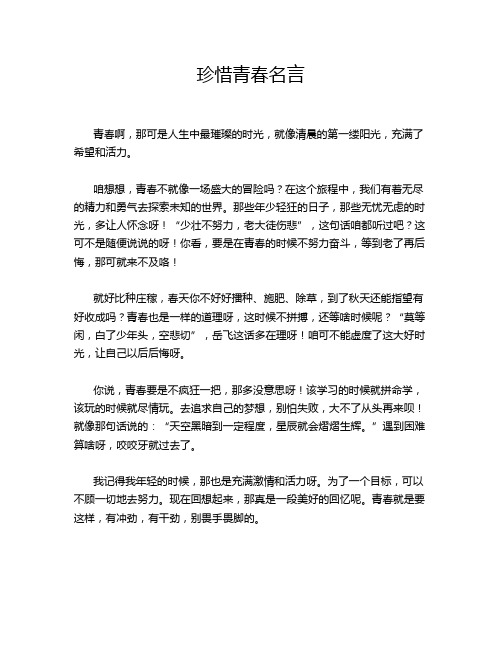 珍惜青春名言