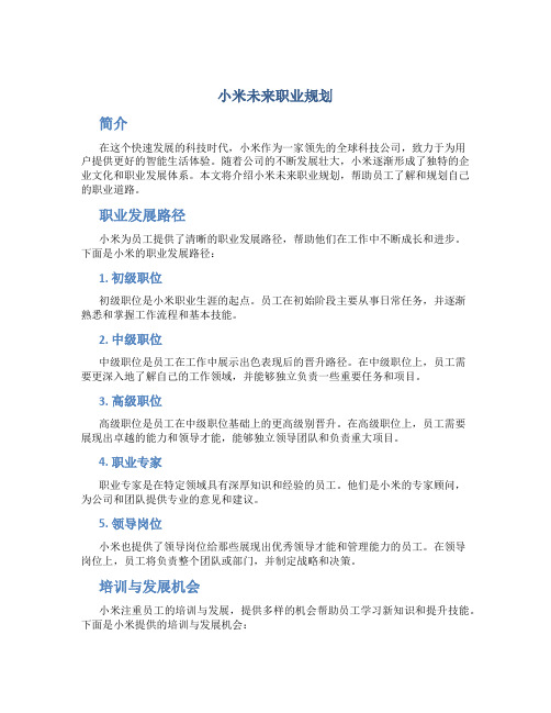 小米未来职业规划