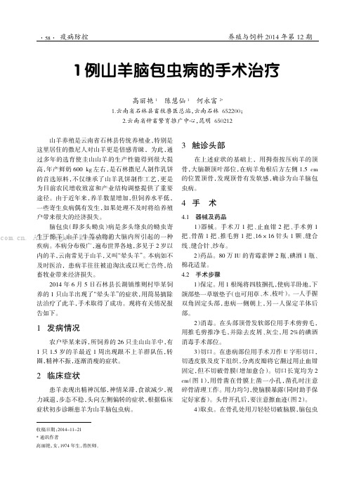 1例山羊脑包虫病的手术治疗