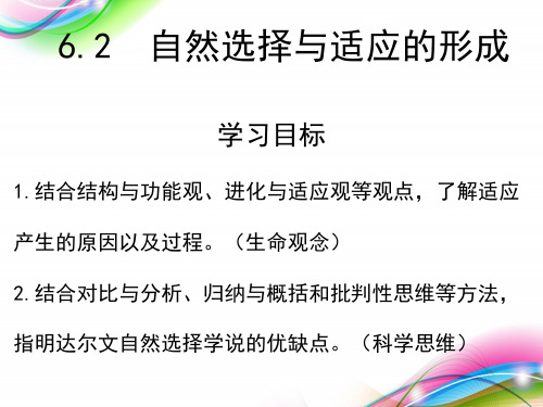 自然选择与适应的形成【新】人教版高中生物必修二课件下载